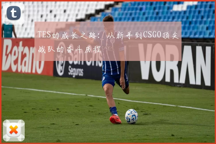 TES的成长之路：从新手到CSGO顶尖战队的奋斗历程