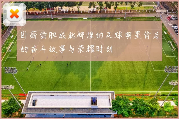 卧薪尝胆成就辉煌的足球明星背后的奋斗故事与荣耀时刻