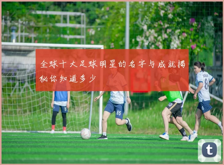 全球十大足球明星的名字与成就揭秘你知道多少