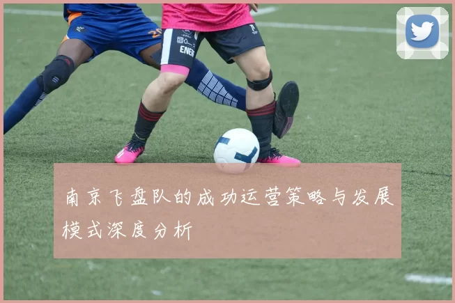 南京飞盘队的成功运营策略与发展模式深度分析