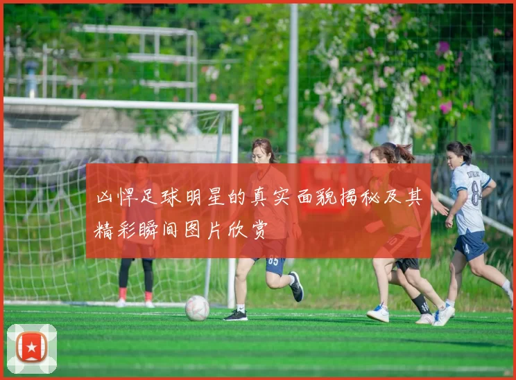 凶悍足球明星的真实面貌揭秘及其精彩瞬间图片欣赏