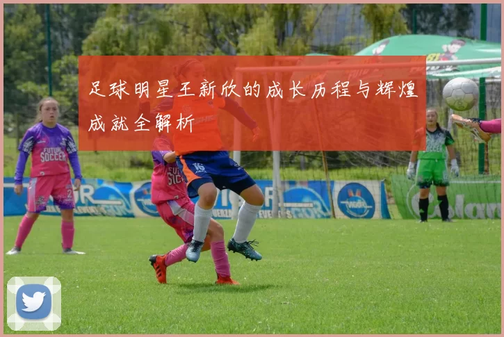 足球明星王新欣的成长历程与辉煌成就全解析