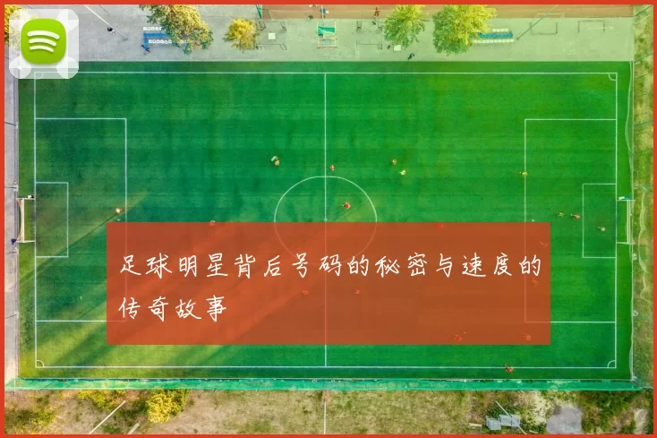 足球明星背后号码的秘密与速度的传奇故事