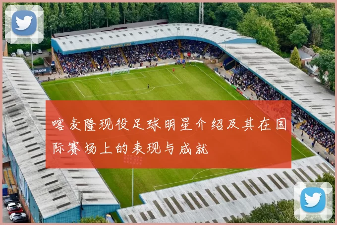 喀麦隆现役足球明星介绍及其在国际赛场上的表现与成就