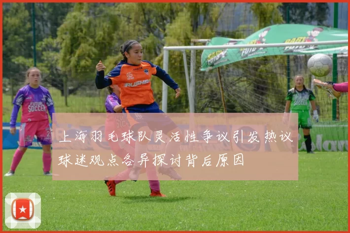 上海羽毛球队灵活性争议引发热议球迷观点各异探讨背后原因