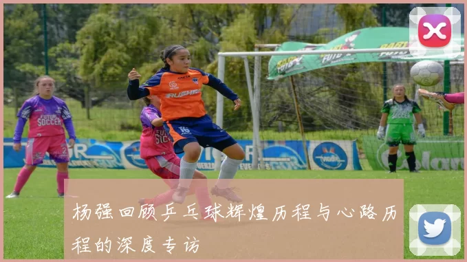 杨强回顾乒乓球辉煌历程与心路历程的深度专访
