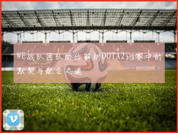 WE战队团队协作解析DOTA2比赛中的默契与配合之道