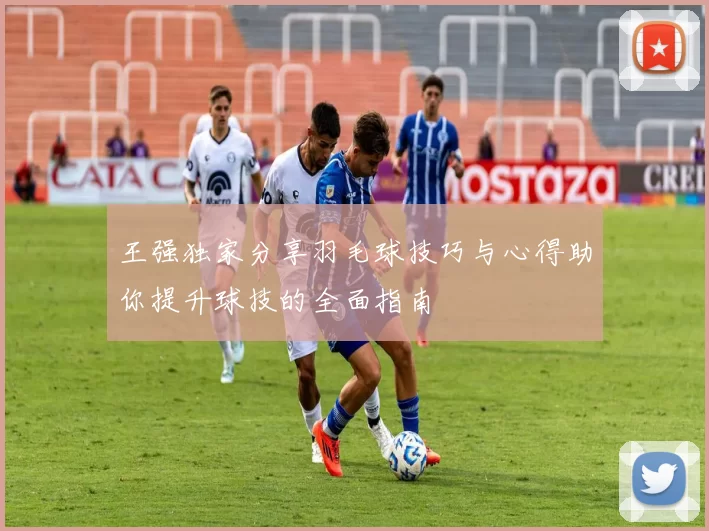 王强独家分享羽毛球技巧与心得助你提升球技的全面指南