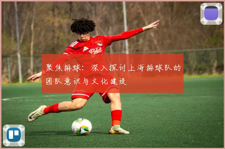 聚焦排球：深入探讨上海排球队的团队意识与文化建设