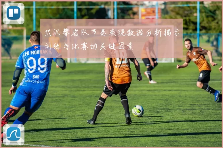 武汉攀岩队节奏表现数据分析揭示训练与比赛的关键因素
