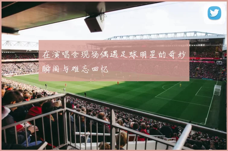 在演唱会现场偶遇足球明星的奇妙瞬间与难忘回忆
