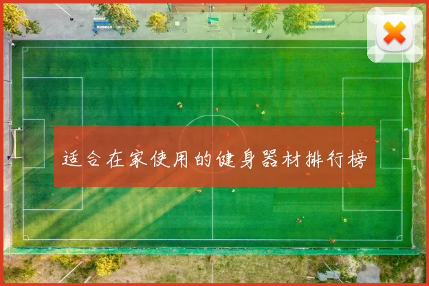 适合在家使用的健身器材排行榜