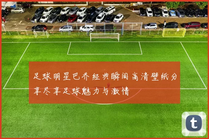 足球明星巴乔经典瞬间高清壁纸分享尽享足球魅力与激情