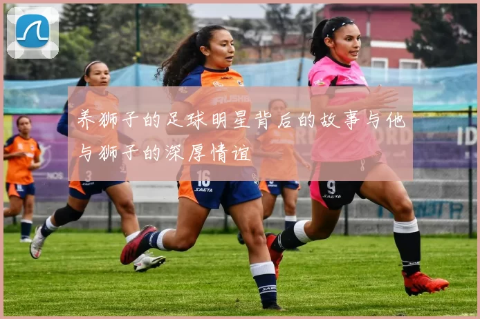养狮子的足球明星背后的故事与他与狮子的深厚情谊