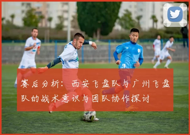 赛后分析：西安飞盘队与广州飞盘队的战术意识与团队协作探讨