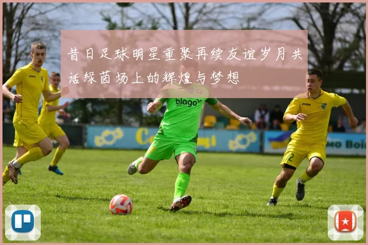 昔日足球明星重聚再续友谊岁月共话绿茵场上的辉煌与梦想