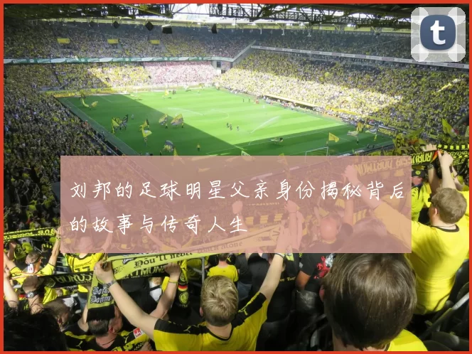 刘邦的足球明星父亲身份揭秘背后的故事与传奇人生