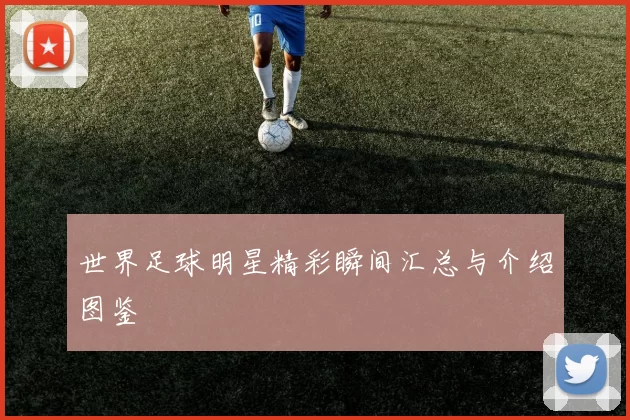 世界足球明星精彩瞬间汇总与介绍图鉴