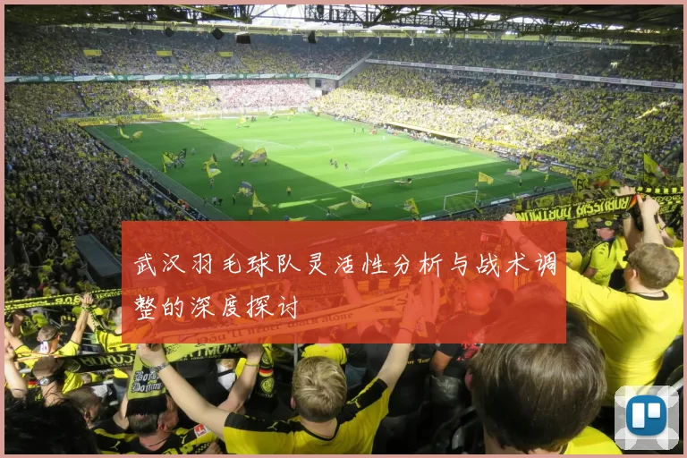 武汉羽毛球队灵活性分析与战术调整的深度探讨