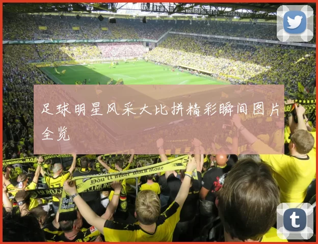 足球明星风采大比拼精彩瞬间图片全览