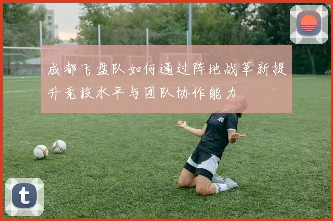 成都飞盘队如何通过阵地战革新提升竞技水平与团队协作能力