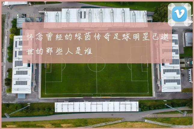 怀念曾经的绿茵传奇足球明星已逝世的那些人是谁