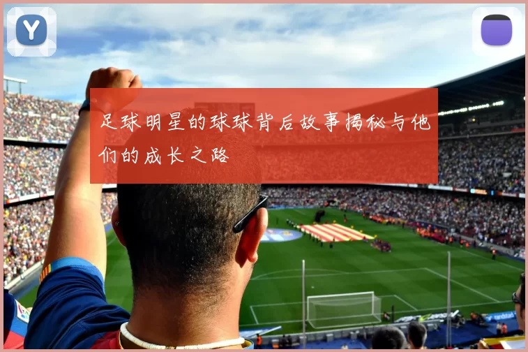 足球明星的球球背后故事揭秘与他们的成长之路