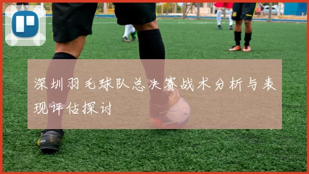 深圳羽毛球队总决赛战术分析与表现评估探讨