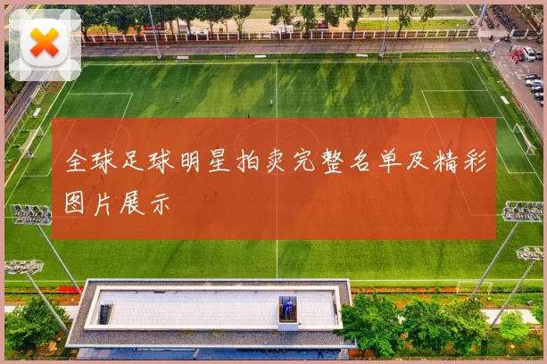 全球足球明星拍卖完整名单及精彩图片展示