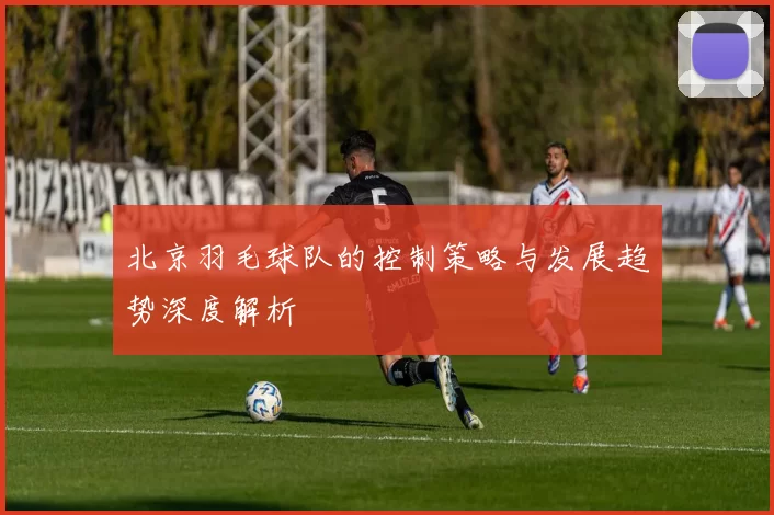 北京羽毛球队的控制策略与发展趋势深度解析