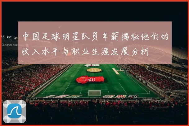 中国足球明星队员年薪揭秘他们的收入水平与职业生涯发展分析