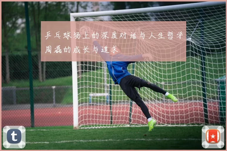 乒乓球场上的深度对话与人生哲学周磊的成长与追求