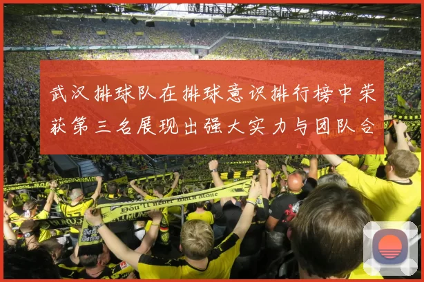 武汉排球队在排球意识排行榜中荣获第三名展现出强大实力与团队合作精神