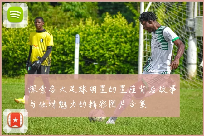 探索各大足球明星的星座背后故事与独特魅力的精彩图片合集