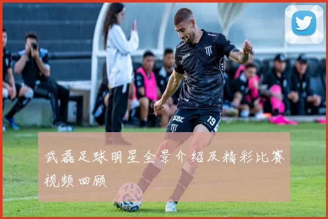 武磊足球明星全景介绍及精彩比赛视频回顾